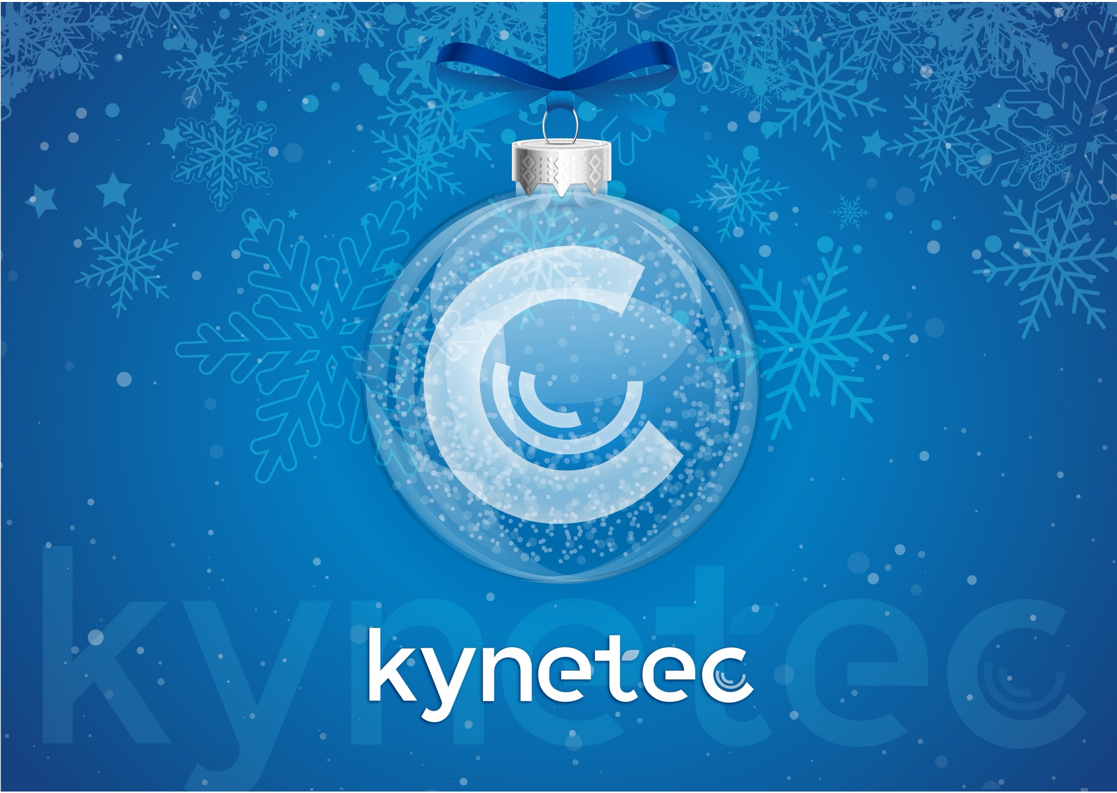 Kynetec Christmas Banner